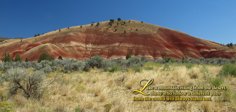 Painted Hills 5