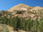 Summer Hills