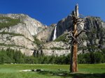 Yosemite Falls 2